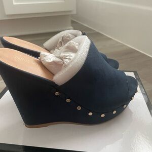 Sexy Platforms, never worn